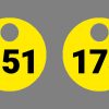 Laser Etched Valve Tags - Numbered 151-175